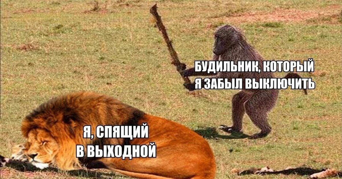 Четырехдневка нас ждет на следующей неделе